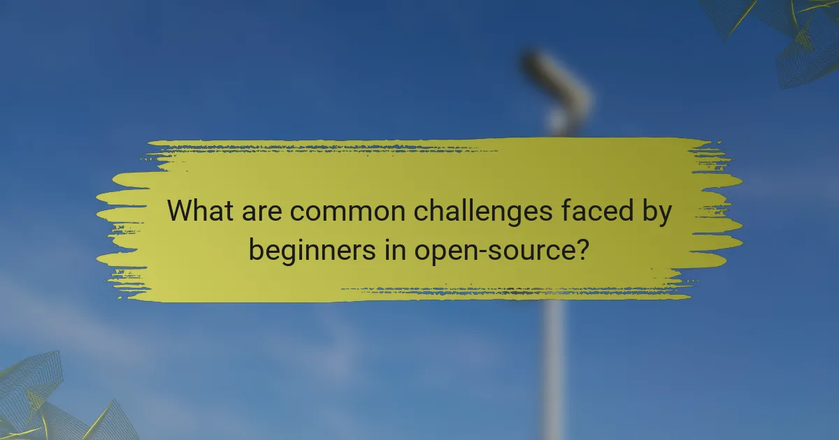What are common challenges faced by beginners in open-source?