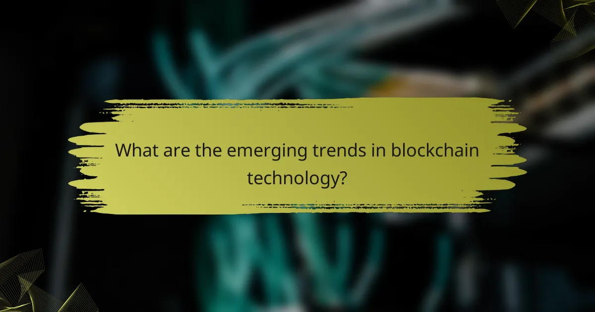 What are the emerging trends in blockchain technology?